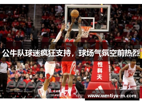 公牛队球迷疯狂支持，球场气氛空前热烈
