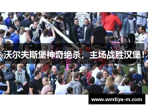 沃尔夫斯堡神奇绝杀，主场战胜汉堡！
